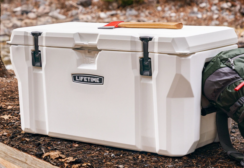 portable car cooler box
