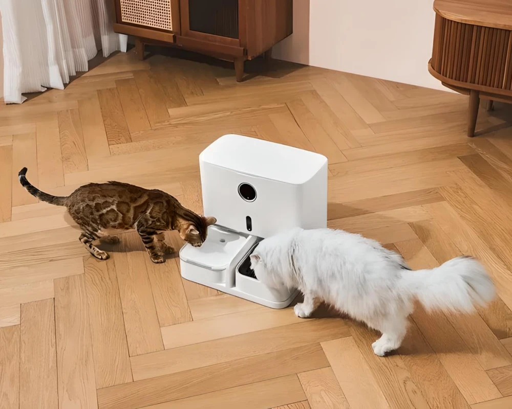 wifi automatic pet feeder