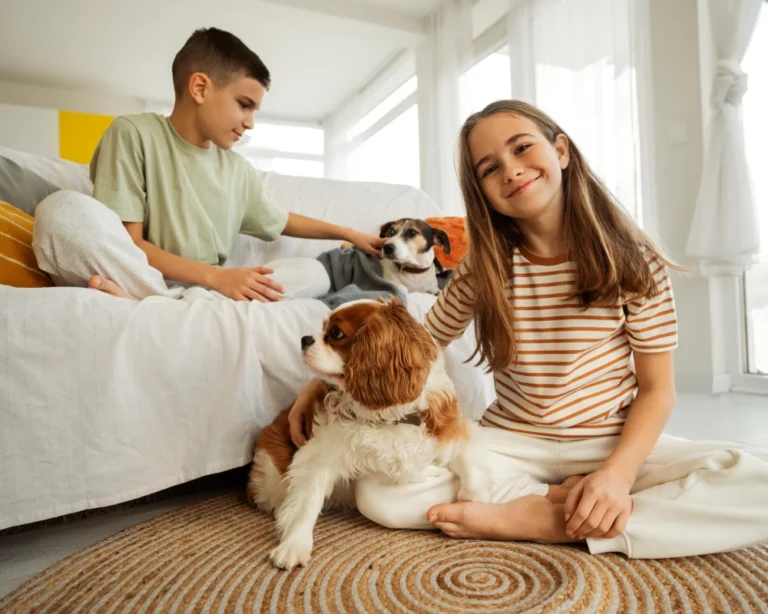 smart automatic pet feeder