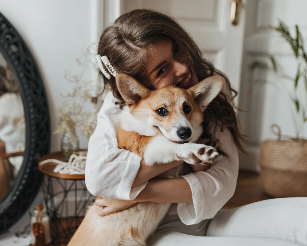 automatic pet feeder and water dispenser
